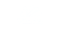 vinda-logo